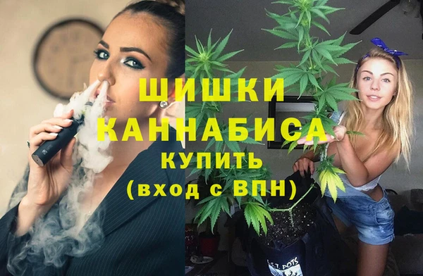 прущие грибы Кулебаки