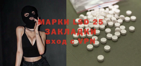 прущие грибы Кулебаки