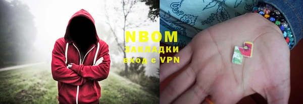 ГАЛЛЮЦИНОГЕННЫЕ ГРИБЫ Кукмор