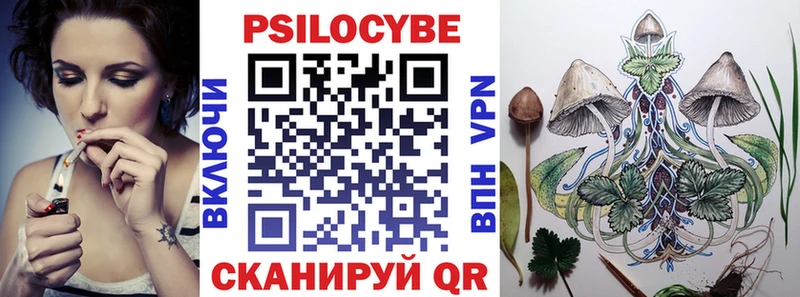 Купить закладки Кадников Галлюциногенные грибы Psilocybe